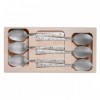 COFFRET 6 CUILLERS A CAFE INOX DECOR FLEURIS