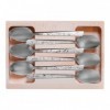 COFFRET 6 CUILLERS TABLE INOX DECOR FLEURIS