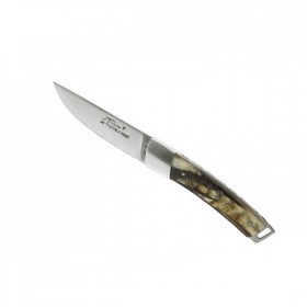 LE THIERS GILLES POCKET CORNE DE BELIER 10CM INOX