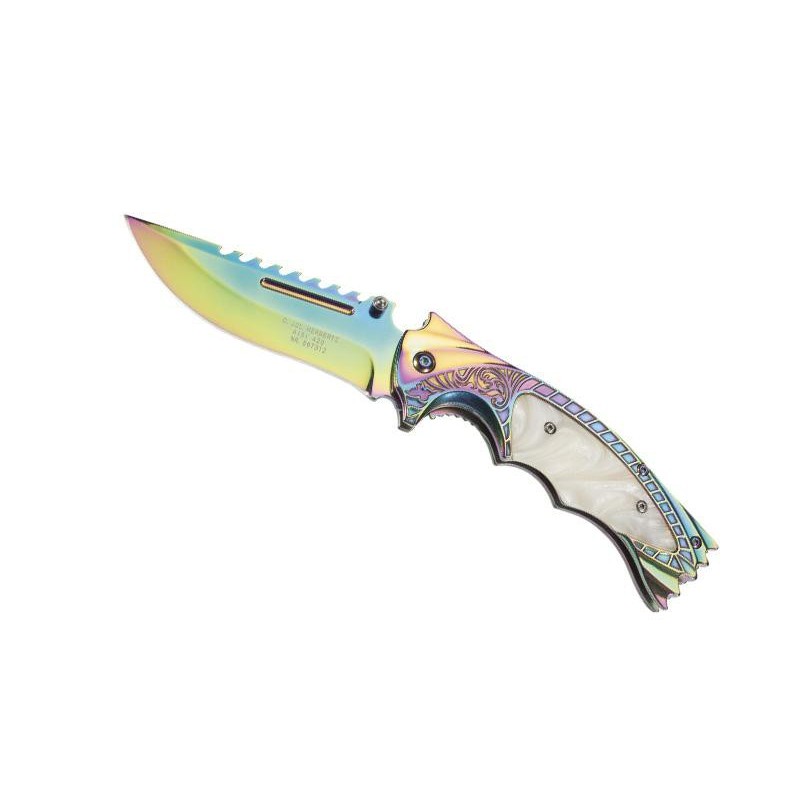 COUTEAU HERBERTZ INOX/ACRYLIQUE 12CM ARC-EN-CIEL INOX