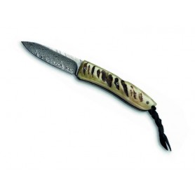 COUTEAU LIONSTEEL OPERA CORNE DE BELIER DAMAS