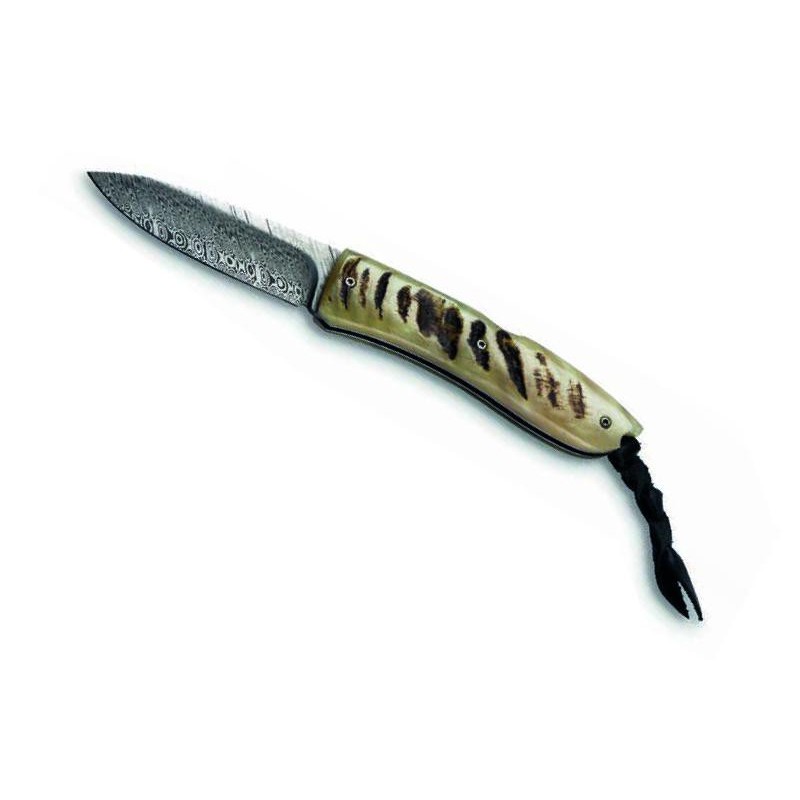COUTEAU LIONSTEEL OPERA CORNE DE BELIER DAMAS