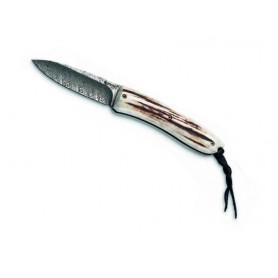 COUTEAU LIONSTEEL OPERA CERF DAMAS