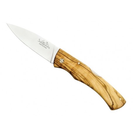 COUTEAU SALAMANDRA OLIVIER 11,5CM INOX
