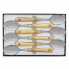 COFFRET 6 CUILLERS TABLE NONTRON