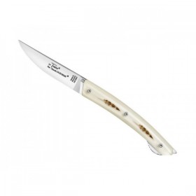 LE THIERS DOZORME VERROU PLUMES DU PEINTRE 12CM INOX