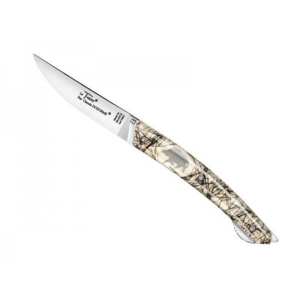 LE THIERS DOZORME VERROU SOIES DE SANGLIER 12CM INOX