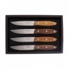 COFFRET 4 COUTEAUX STEAK MASERIN STAKNI 22CM BOIS DE SANTOS