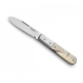 COUTEAU LIONSTEEL ROUNDHEAD BARLOW CORNE DE BELIER