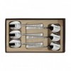 COFFRET 6 CUILLERS A CAFE INOX DECOR NATURA